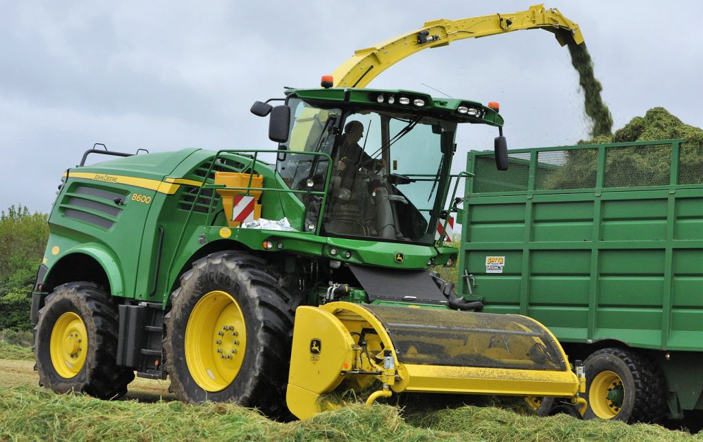 Image source: Shane Casey