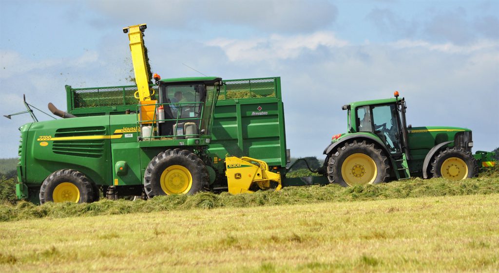 Image source: Shane Casey