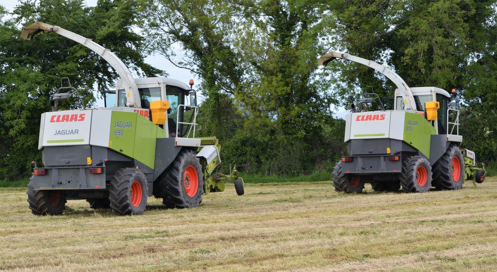 Image source: Shane Casey