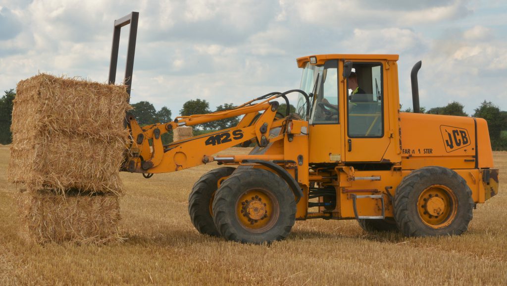 Image source: Shane Casey