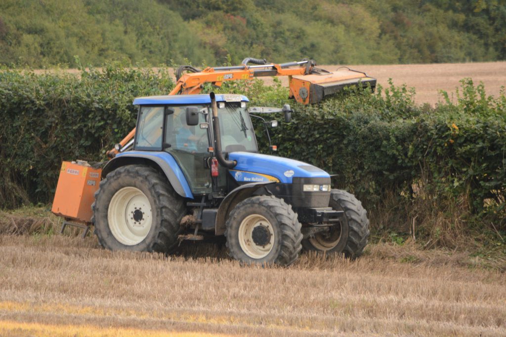 Image source: Shane Casey