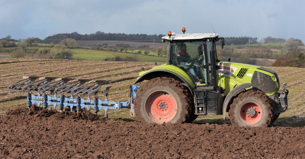 Image source: Shane Casey