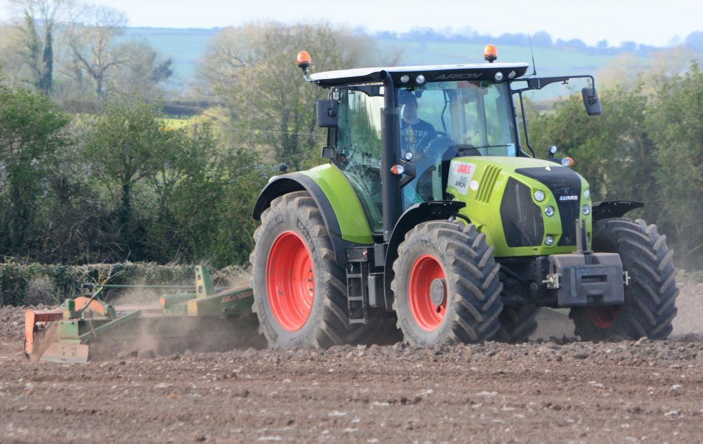 Image source: Shane Casey