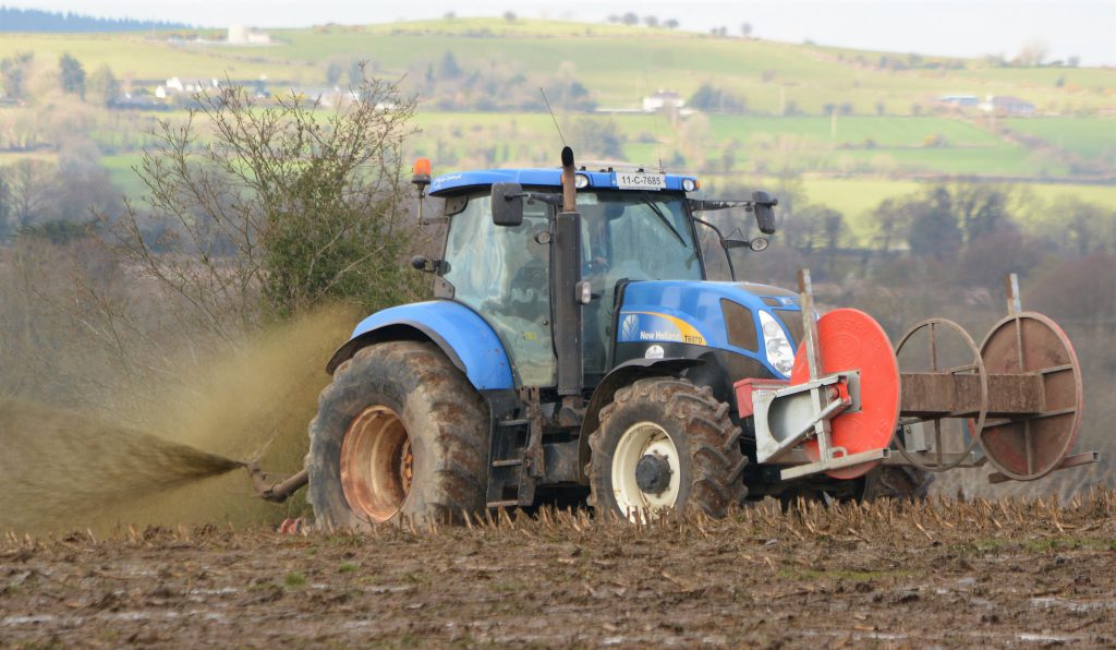 Image source: Shane Casey