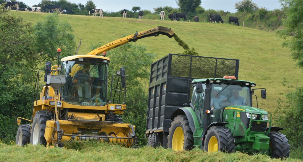 Image source: Shane Casey