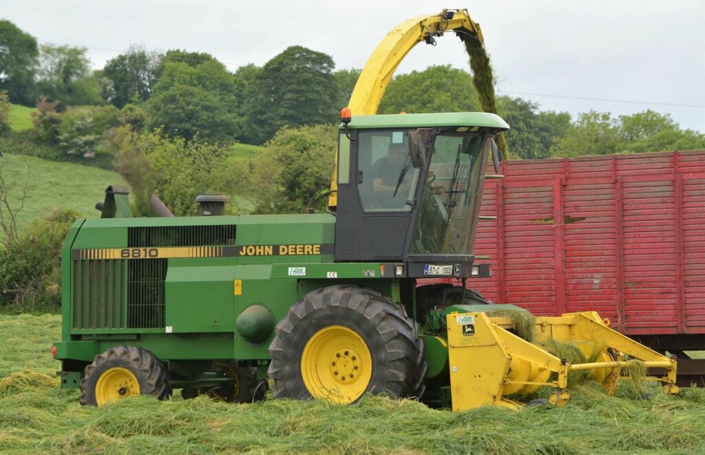 Image source: Shane Casey