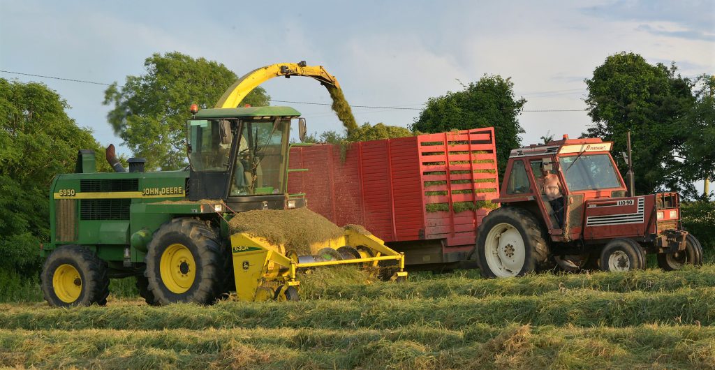 Image source: Shane Casey