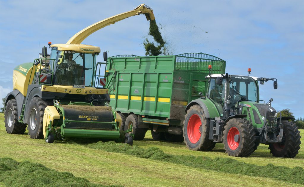 Image source: Shane Casey