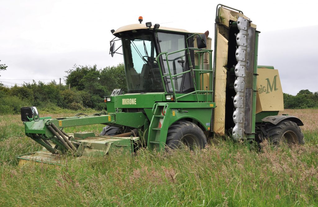 Image source: Shane Casey