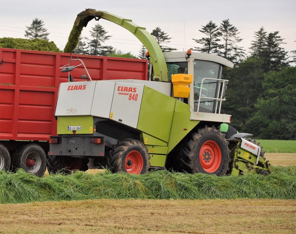 Image source: Shane Casey