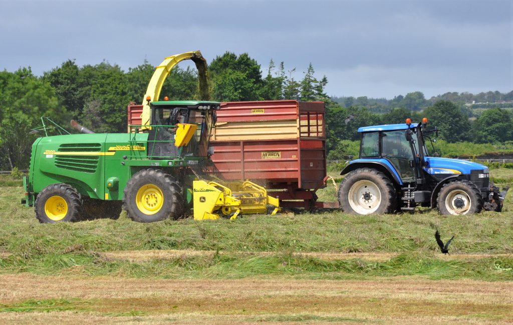 Image source: Shane Casey