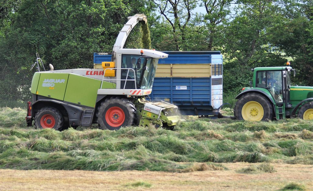 Image source: Shane Casey