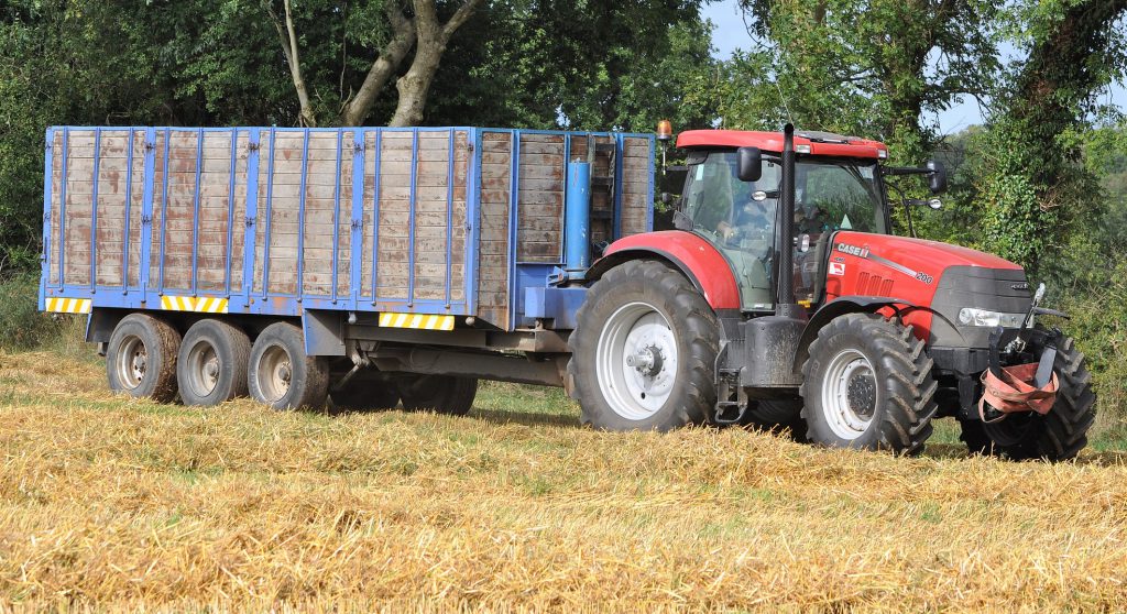 Image source: Shane Casey