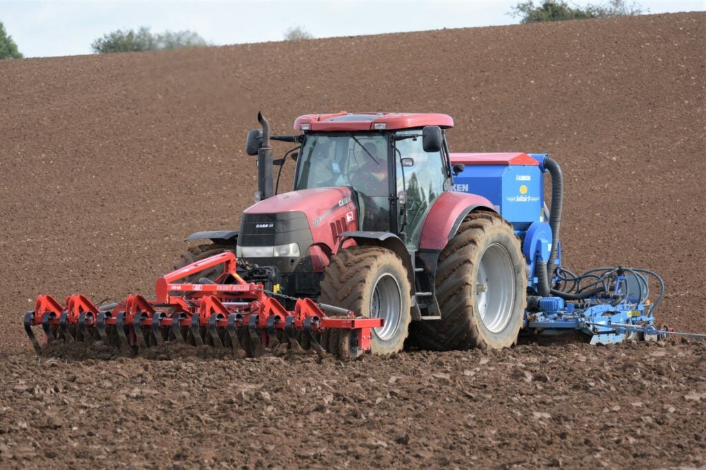 Image source: Shane Casey