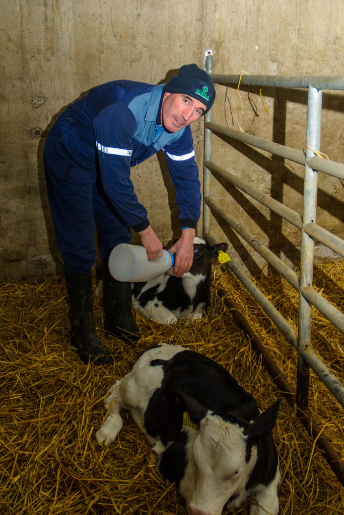 Lorcan McCabe on his Bailieboro farm