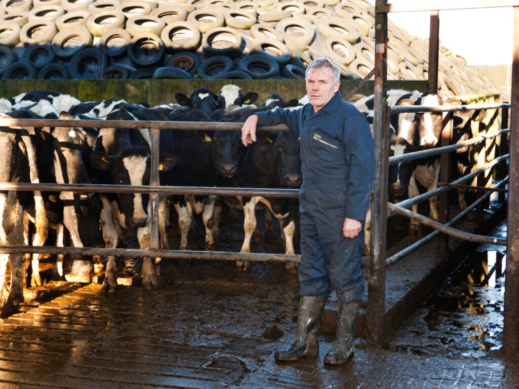 ICMSA Dairy Committee chairperson Gerald Quain on his farm
