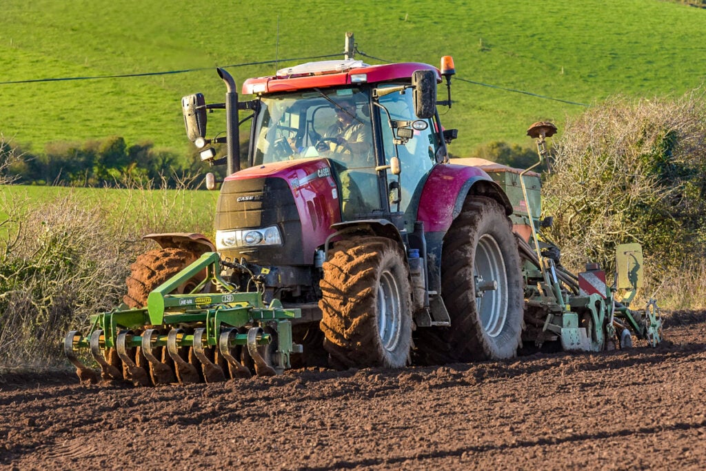 Image source: Shane Casey