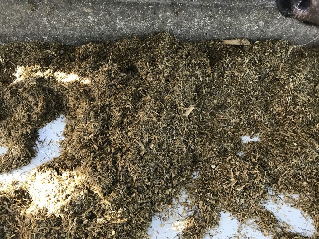 An epoxy (two pack) paint has been applied to the concrete alongside the feeding barrier