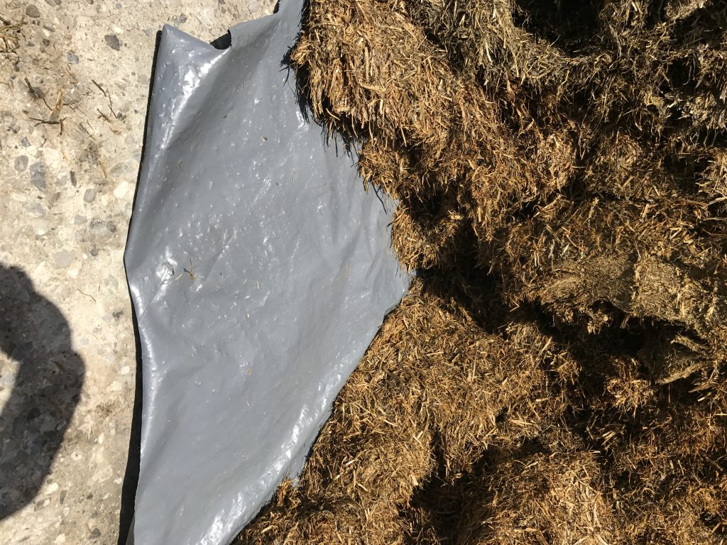 Silostop Wall Film on the side of the pit