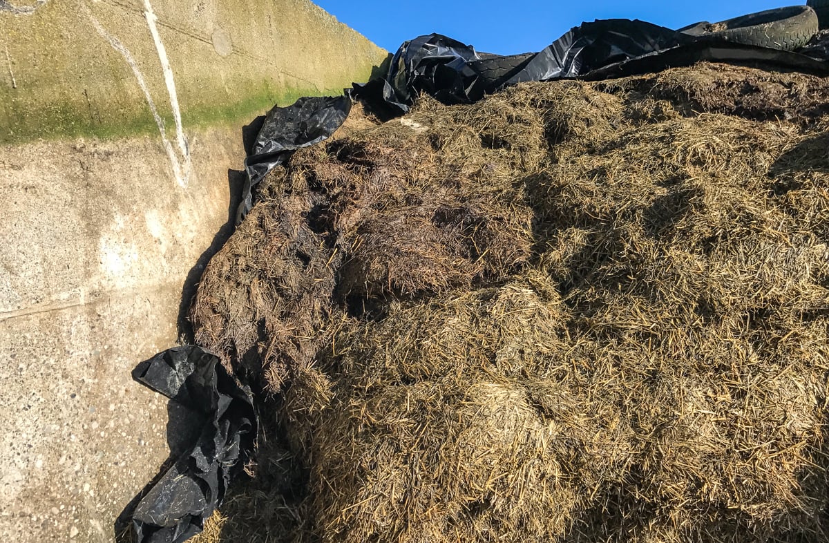 Regular silage plastic on the sides and the top of the pit