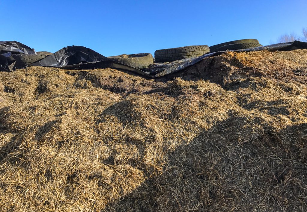 Regular silage plastic on top of the pit