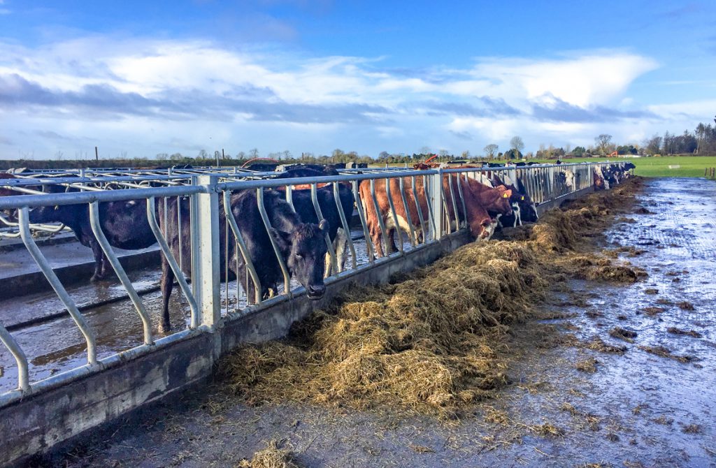 350 topless cubicles were constructed