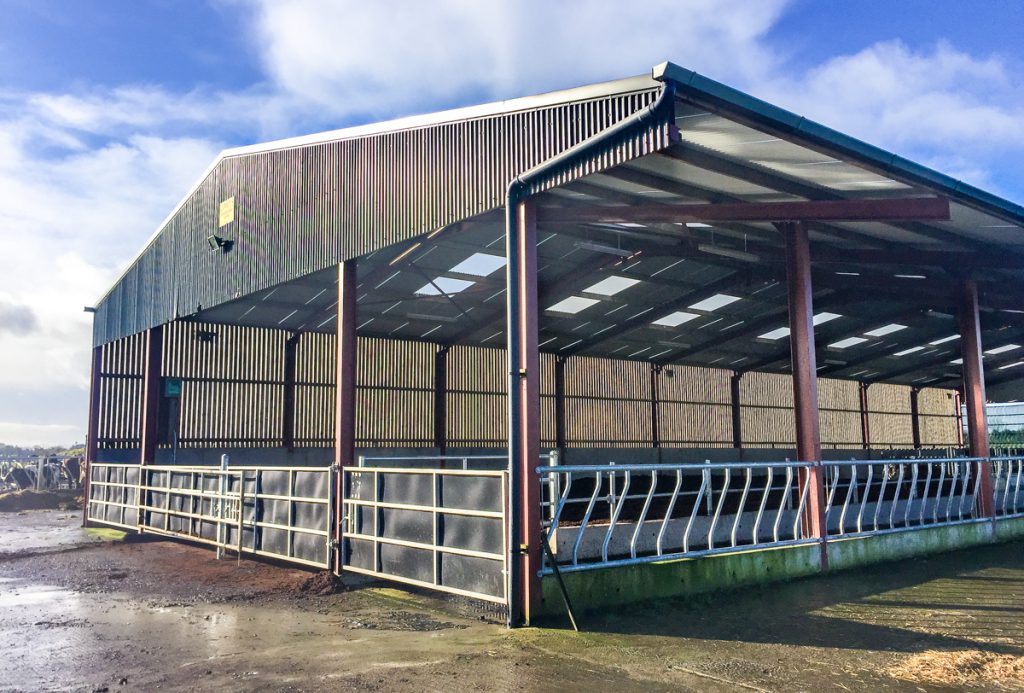 The calving shed