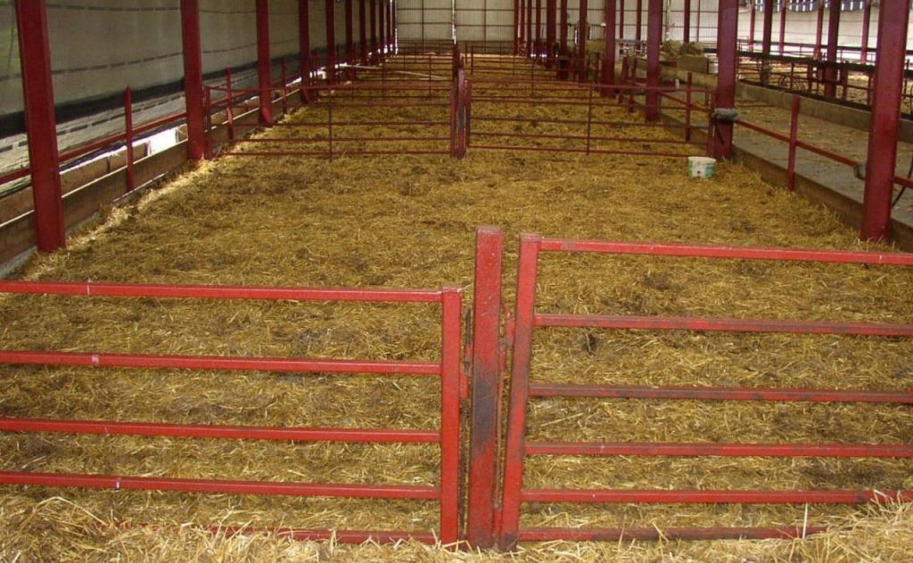 Minimise obstacles in the pen and hinge dividing gates between pens for easier bedding and cleaning