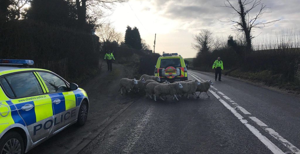 Image source: Congleton Facebook