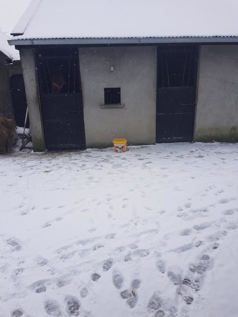 Image source: Trish Reid