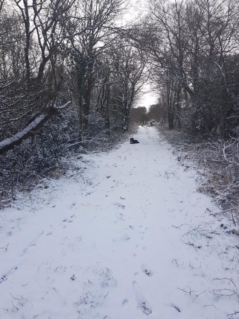 Image source: Trish Reid