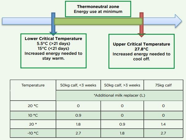 *20% protein, 20% fat milk replacer mixed at 125g/L. Provided the calves are dry, well-bedded and kept out of draughts. Source: Teagasc