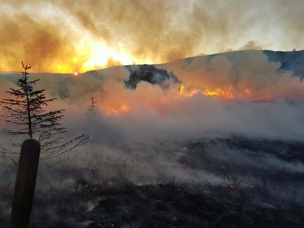 Similar gorse fires have been seen in all parts of the country around this time of year in the past, such as this one in Northern Ireland