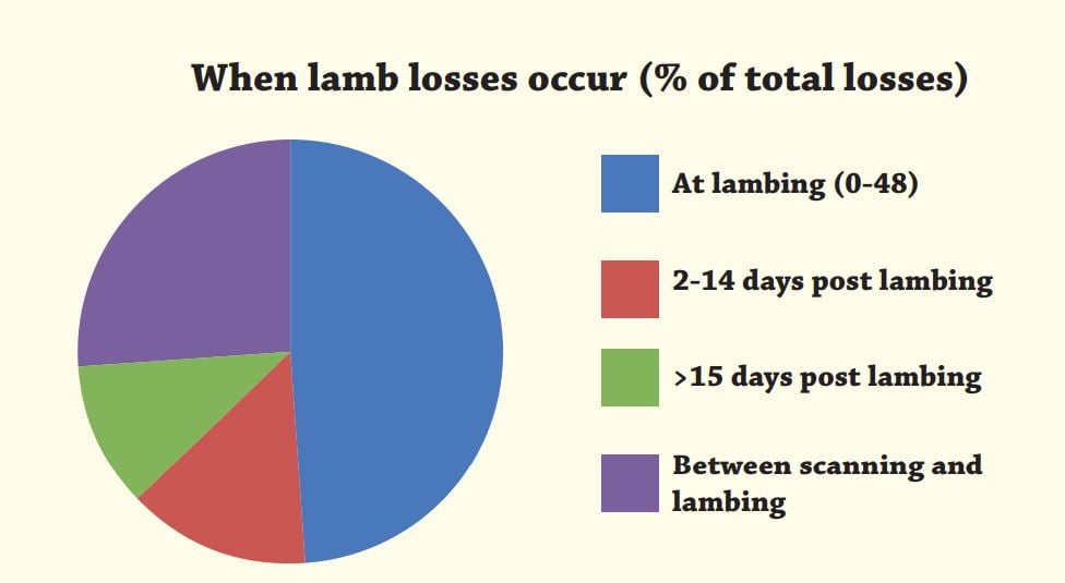 The timing of lamb mortality. Source: HCC lambing project 2010/2011