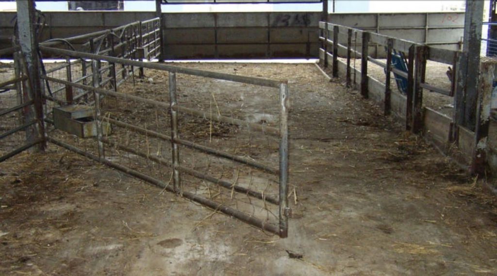 A hinged pen divider at Teagasc Athenry makes opening up pens for feeding, bedding and cleaning out easier
