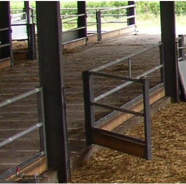 Properly-hinged, 0.9m wide gate with a bottom board that opens with the gate