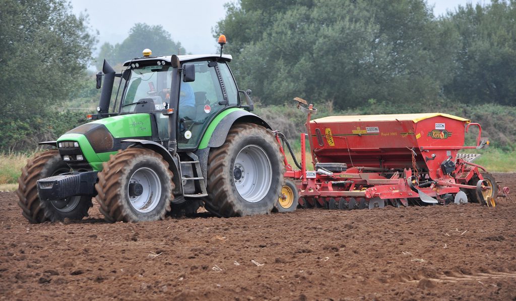 Image source: Shane Casey