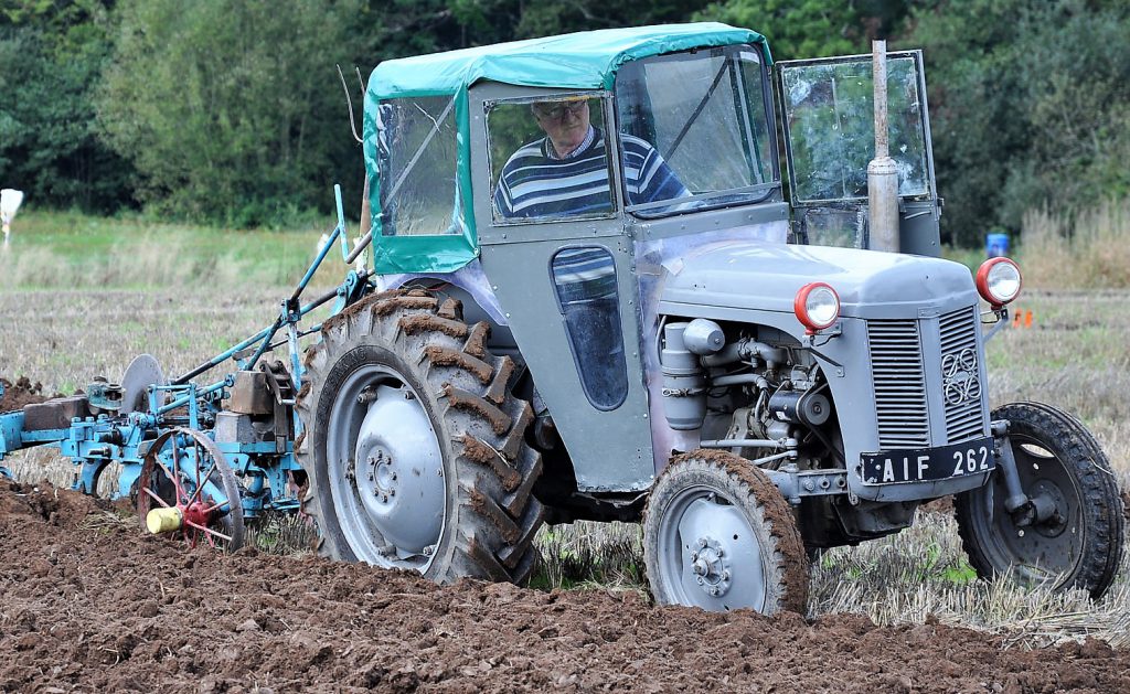 Image source: Shane Casey