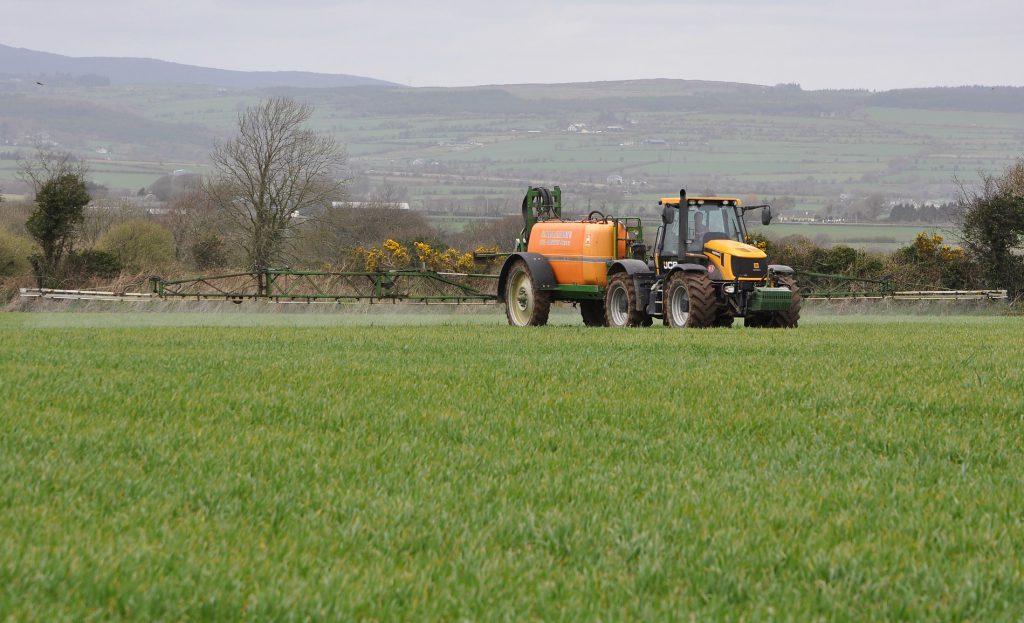 Image source: Shane Casey