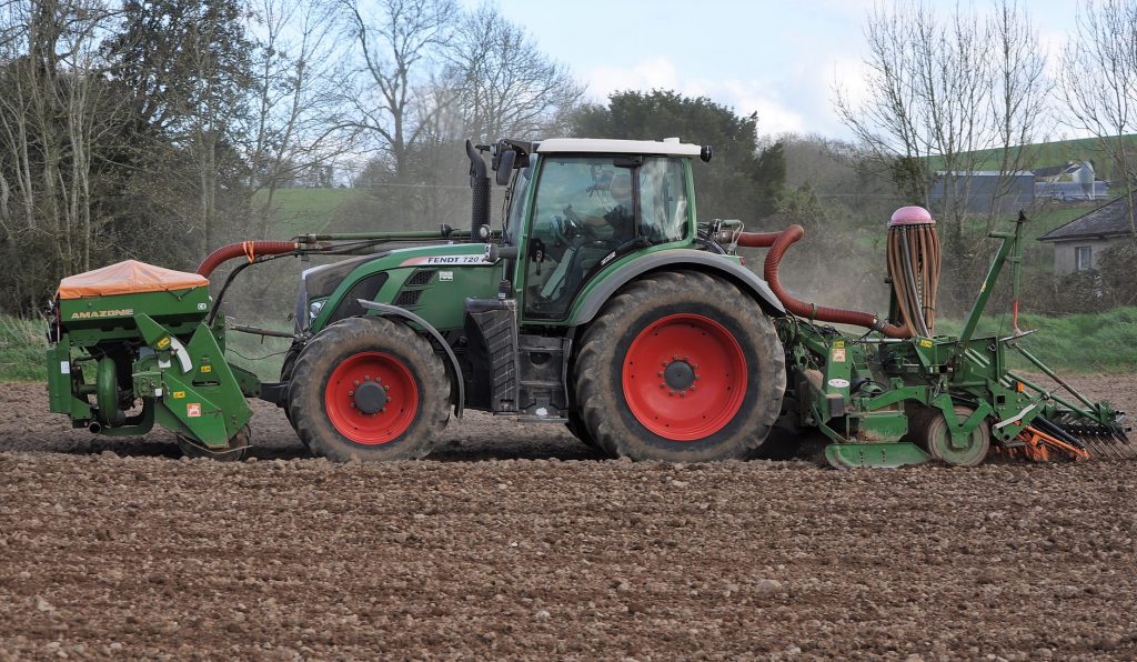 Image source: Shane Casey