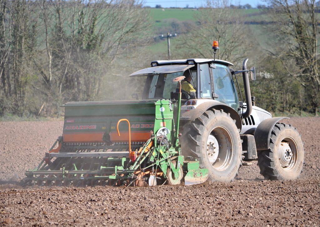 Image source: Shane Casey