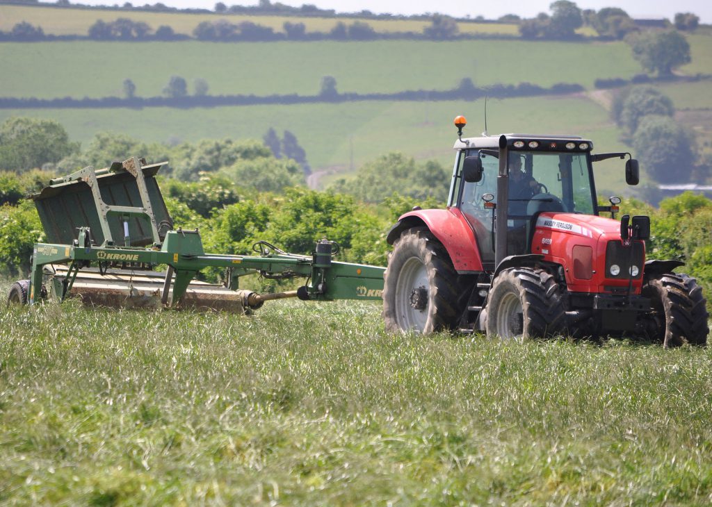 Image source: Shane Casey