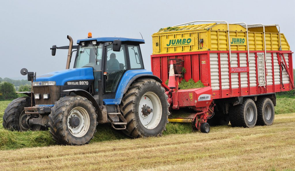 Image source: Shane Casey