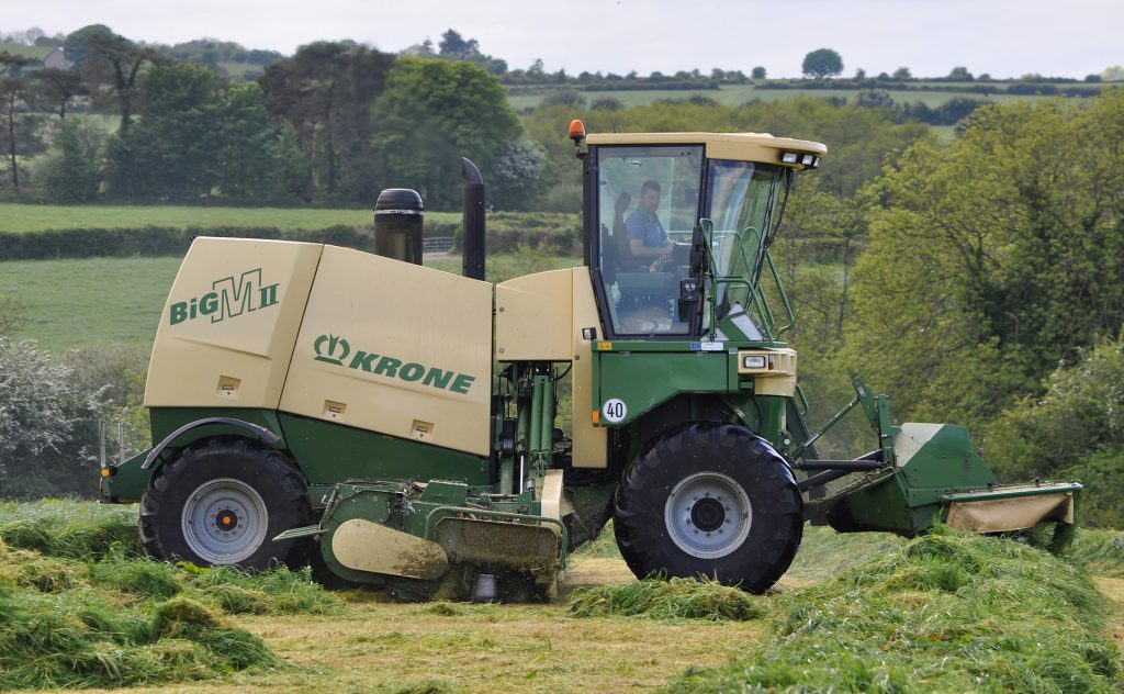 Image source: Shane Casey