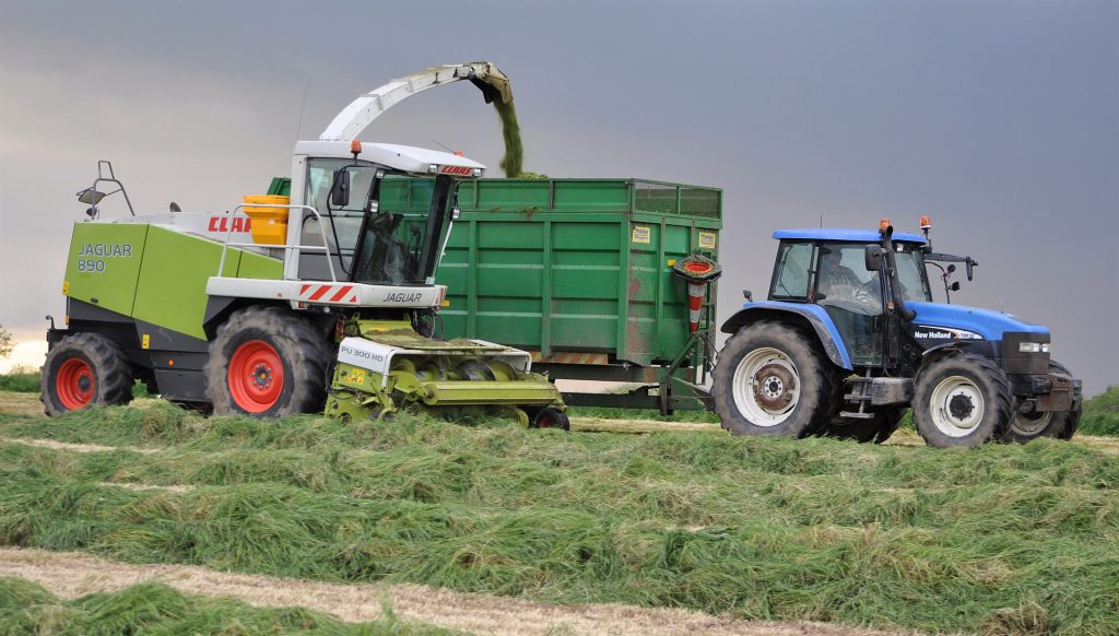 Image source: Shane Casey