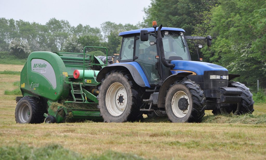 Image source: Shane Casey