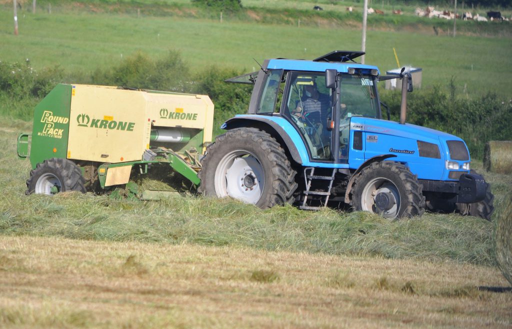 Image source: Shane Casey