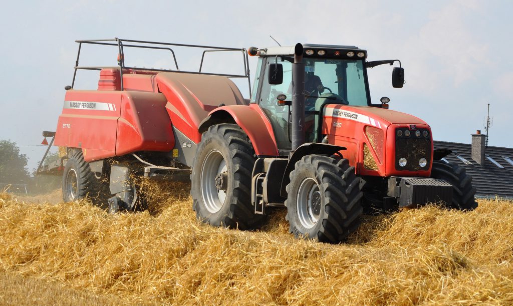 Image source: Shane Casey