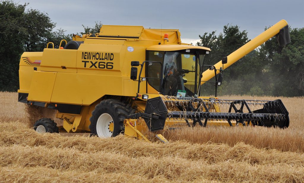 Image source: Shane Casey