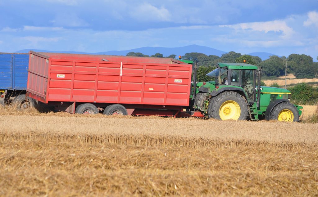 Image source: Shane Casey